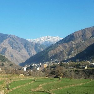 Meet your Posher, Asad